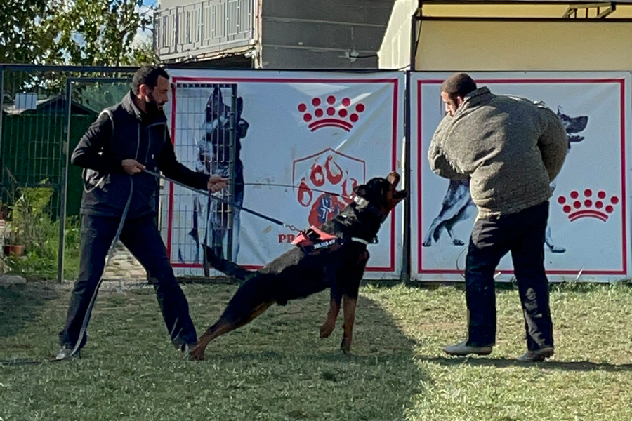 Bodyguard Eğitimi