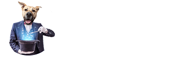 Dog Wizard Köpek Eğitim Merkezi